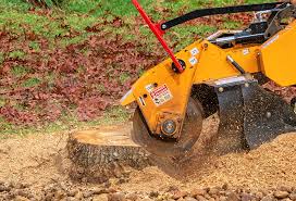 Mulching Services in Princeton, WV
